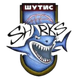 舒提斯鲨鱼logo