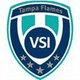 VSI谭柏湾logo